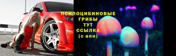 дмт Арсеньев