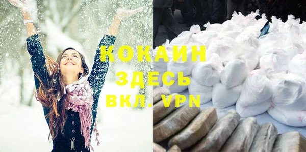 дмт Арсеньев