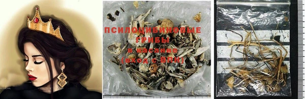 дмт Арсеньев