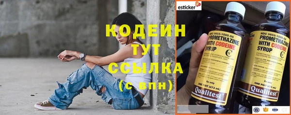 дмт Арсеньев