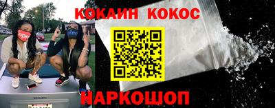 молекула духа Кингисепп