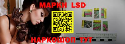 молекула духа Кингисепп