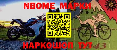 молекула духа Кингисепп