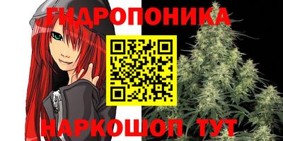 молекула духа Кингисепп