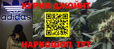 молекула духа Кингисепп