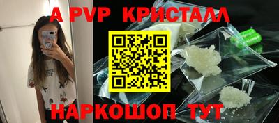 молекула духа Кингисепп