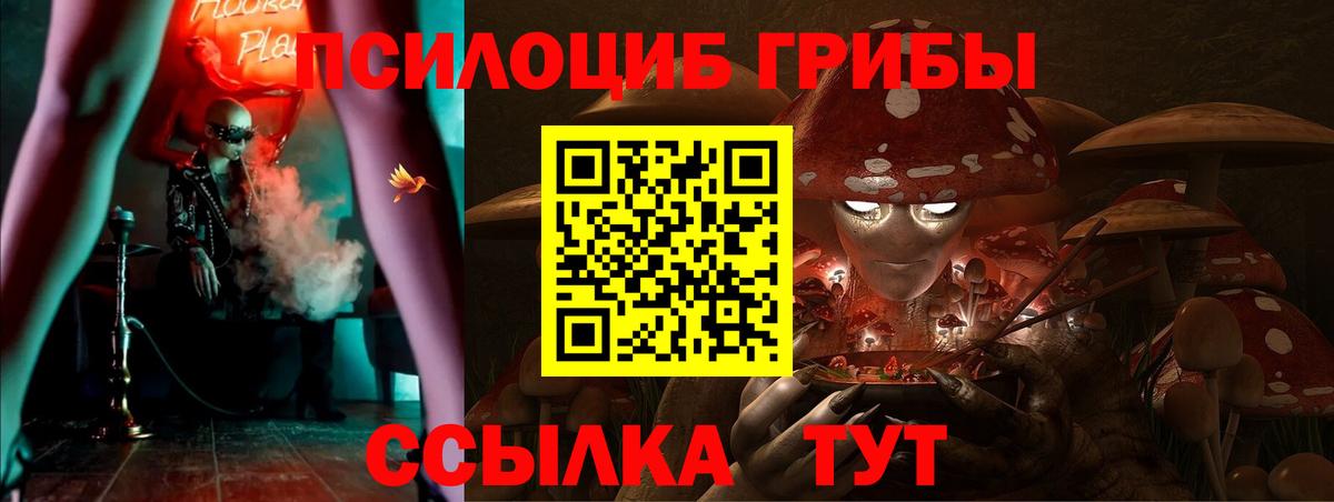 Псилоцибиновые грибы GOLDEN TEACHER  Галлюциногенные грибы мухоморы  Каспийск  Вход с VPN 